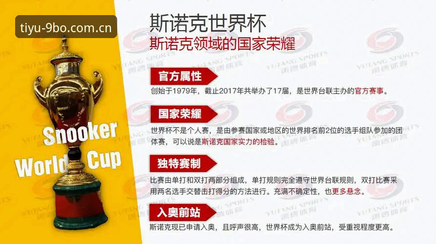 世界杯安保调整与赛事信息追踪指南：九博体育平台实战应用